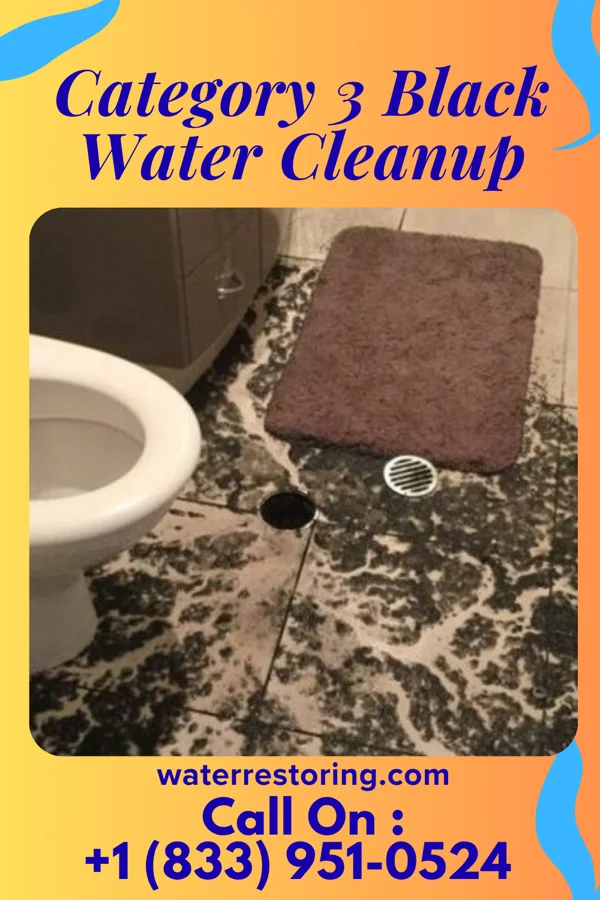 Category 3 Black Water Cleanup in Lakeville, MN