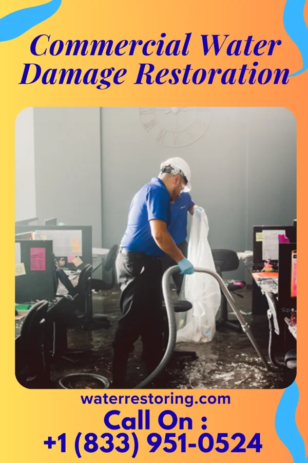 Commercial Water Damage Restoration in Lakeville, MN